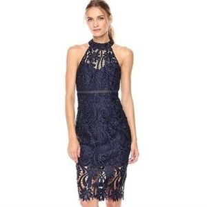 Bardot Floral Lace Halter Navy Blue Pencil Sheath Dress Cocktail Formal Size  6